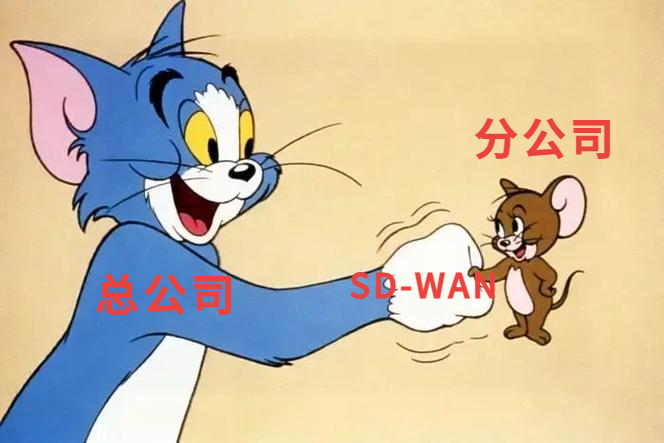 什么样的企业会需要SD-WAN？