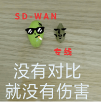 SD-WAN和普通专线，应该选哪个？