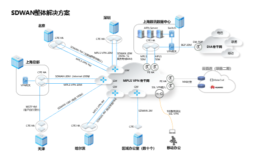 国内某连锁超市收银系统SDWAN组网案例